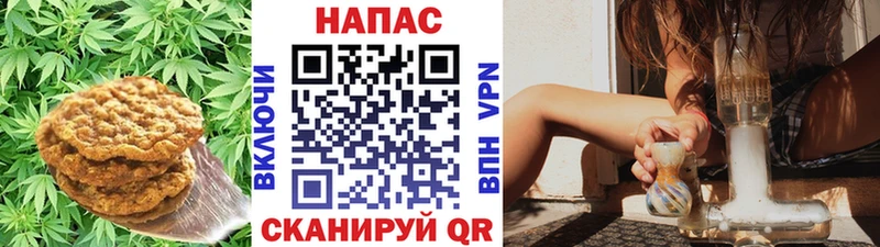 Еда ТГК марихуана  omg зеркало  shop состав  что такое наркотик  Липецк 