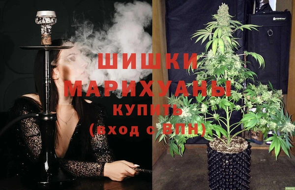 прущие крисы Медвежьегорск