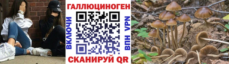 Псилоцибиновые грибы прущие грибы  это наркотические препараты  Липецк 