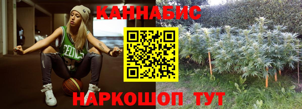 Конопля MAZAR Липецк